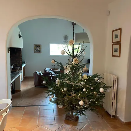 Mas Du Petit Tamaris Holiday home